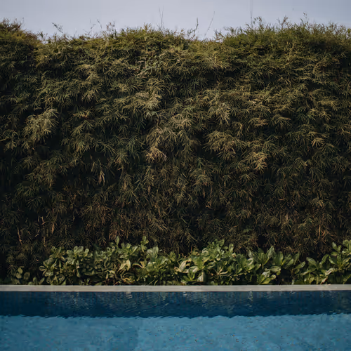 Untitled Collection #85451349