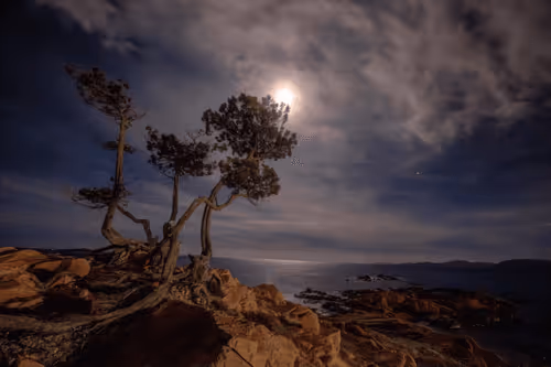 Item #6505089431552554568137386774614394979265528746054988378978093557714985680897 Media