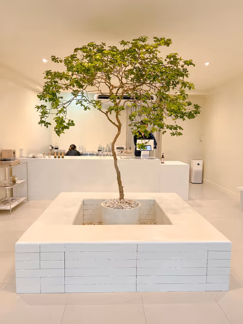 Item #61748312555266975109451486537523370227541378118853979631158962834265302106113 Media