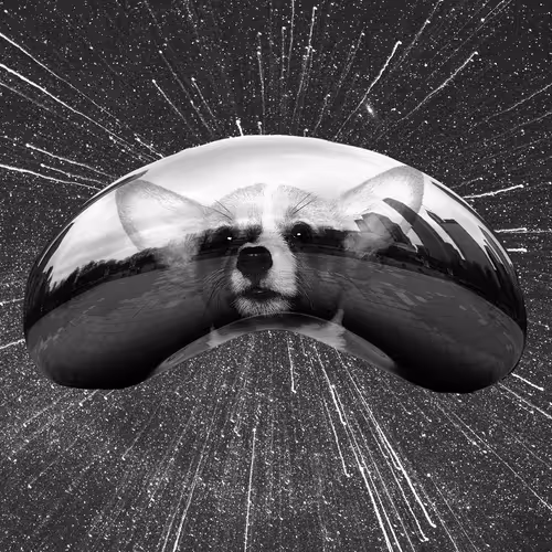 109973185304335295389295967702690498050440437764202445007733630586856593686529