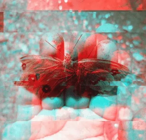 PAPROS Collection - old