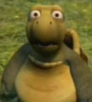 Shocked Turtle