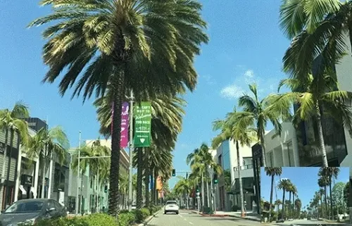 Item #59132355562186324700850821844442436394047262304885251221794294025999664283649 Media