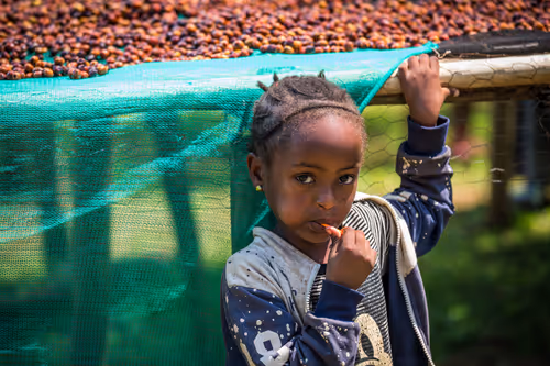 Item #50027882237522295676960542276708360859068113986169674979910834072431469002753 Media