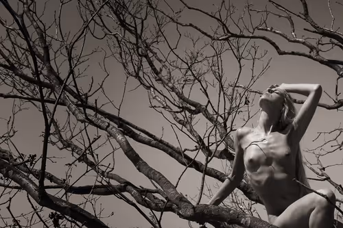 Item #50747893746858818908367272337073903739912207369127684864998521119534177320961 Media