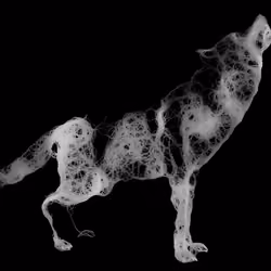 The Wolf