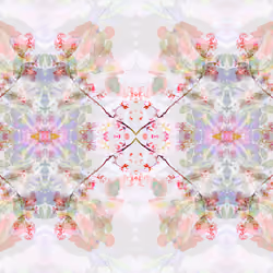 TreeBlossoms