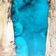 Untitled Collection #46882107