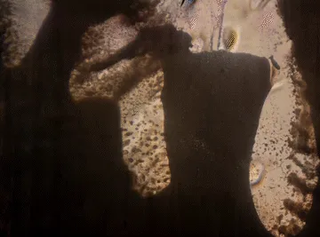 Item #73301704533666751335196021622514792145035649100750988773961167882280218132481 Media