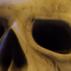 Memento Mori