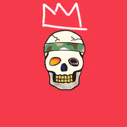 SKULL-IAT (1/1)