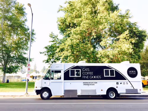 Item #12030096268944832383519200869739243025731728617049659890117429827040167591937 Media