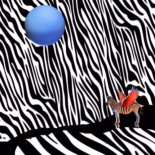 Zebrapegasus EH1YQAhqMM
