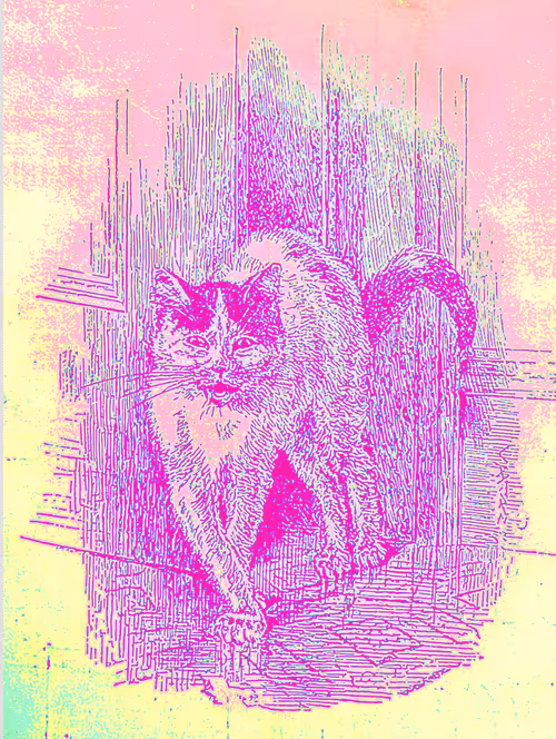 Item #35247308013863639916483757756408588227786114589757564733366544635312050536478 Media