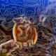 7704875225790757605027437026831856804448209115847003960514498477434135904257
