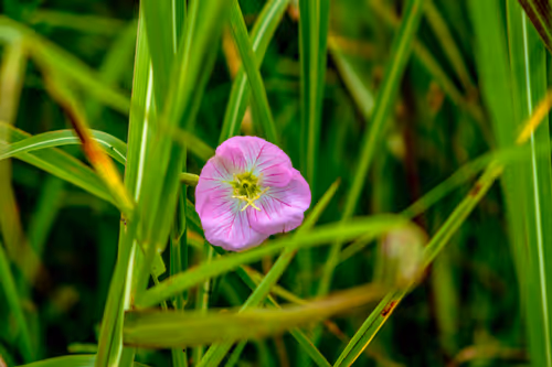 Item #30985419060957023672606833204645685316652492575224970316942919816116564918273 Media