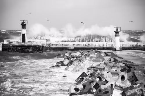 Item #9465970919991825070381387110769562952088497977437425311300914661414305529857 Media