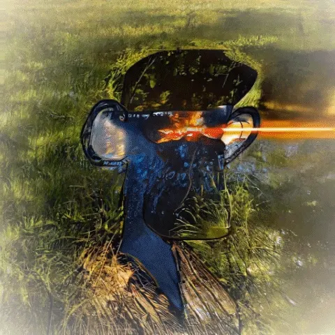 Ape Paintings