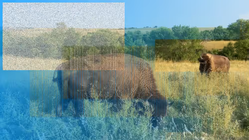 Item #105089968166921690156624725616502706642431777719922472152070405724961314439169 Media