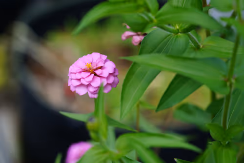 Item #104376002949691435372186332922329426885438855104179935790586764287268148477972 Media