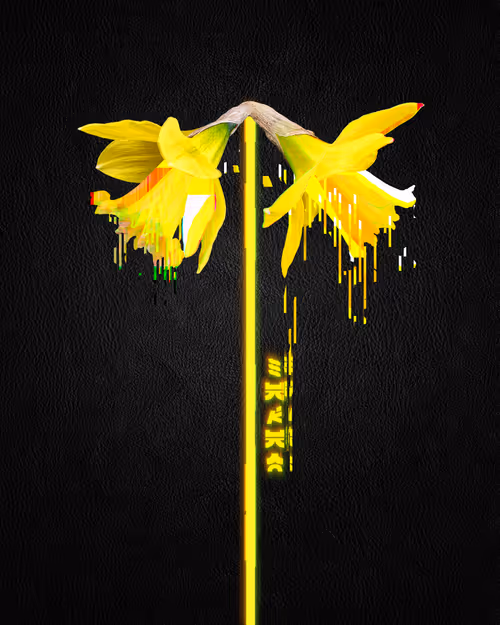 Item #39579845202103003613433969065529984939294887442875588777262424393478316228609 Media