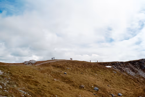 Item #86204936525623062478772312076709802278598486618652010465124009080110098415617 Media