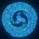 41743229570722869086920547224018057870932304837008972594714607773360756621313