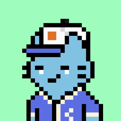 24px