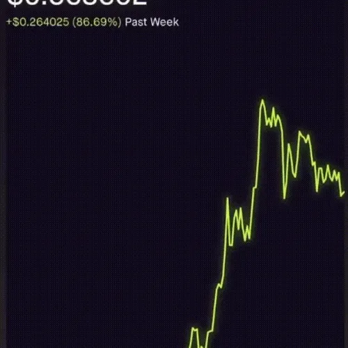 Who Controls Doge?