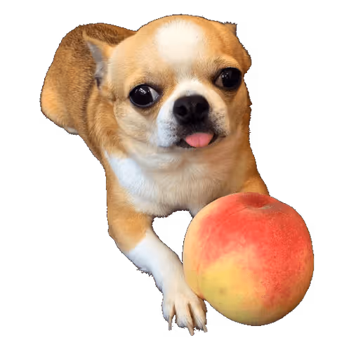 GMONEY2SMOOVE Collection