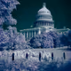 Infrared - By Mark Marroc