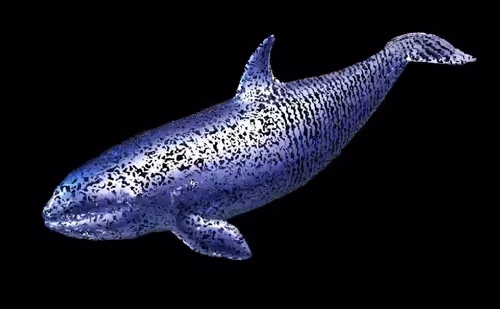 Item #104099004194732186528107260891908231378147874233508203101203207529135257681921 Media