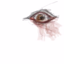Ojo 003