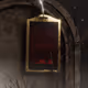 Never Die - Founders Pass