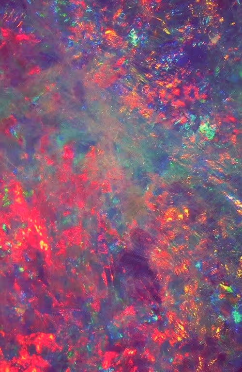 Item #70331022192084161553435138648365640388900327237675498898910331082252224561153 Media