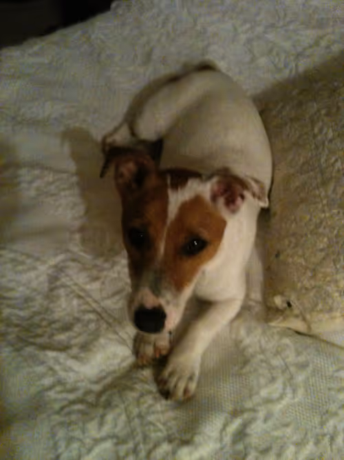 Item #5985210497355107417265215381210579199842884272282595265964883375926074671105 Media