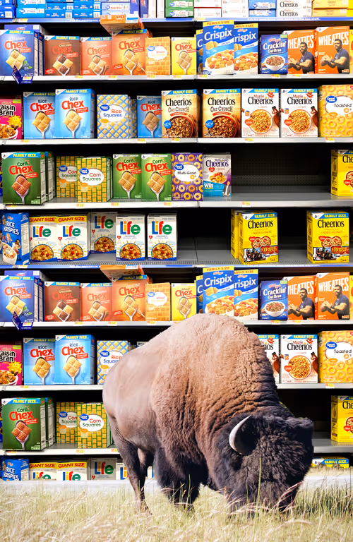 Item #68956660455802920949406474332140117379218782181167192068464389516915397099521 Media