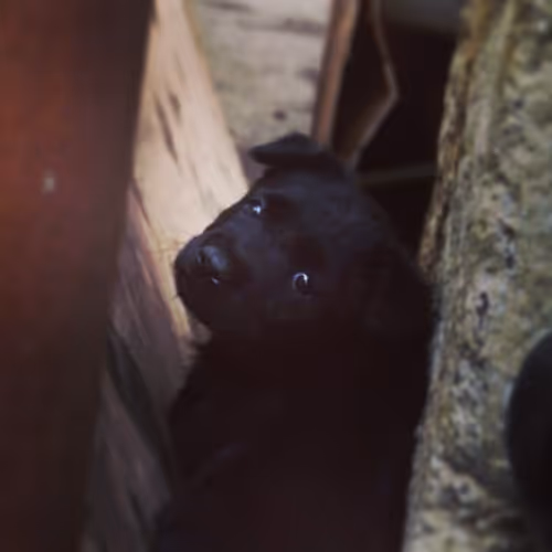 Item #105322358618701185533743754469895824107639028648078310589264470449897829564417 Media