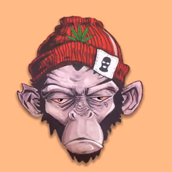 Stoner Ape 6