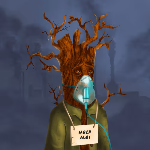 Item #38969088093190670381878411557565580659447067316565611691845277064974185791489 Media