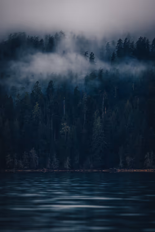 Item #68893585543807319925330967808538718473616889989347730596649157786530771632129 Media