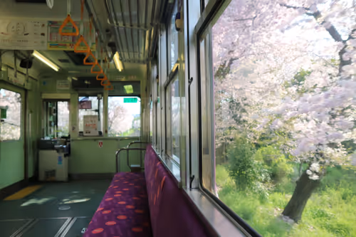 Item #82128306357763875677992979084533453962815137074133455862851432424216903811073 Media