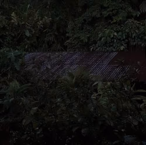 Item #15228845018221270444917858890004613932879500867801961407917174750306870755329 Media