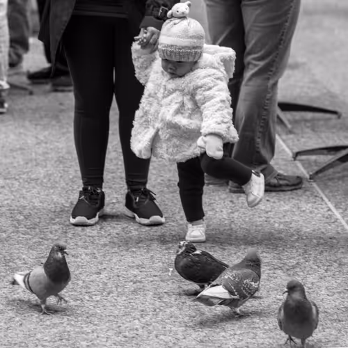 Item #103386089796360432100147143796869616594162161445482817701723534469461625012225 Media