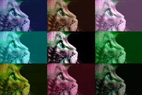 Item #5064369323868941142529800422530870608449267944386714411348494294493964533761 Media