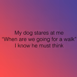 52128372964766928904022689607453868013862525224022970063428394501990541950977