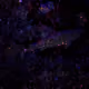 101713277105975589639880448454091243544280285560533982294413791158576779100161