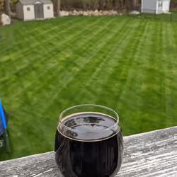#50 Backyard Buzz 1.0