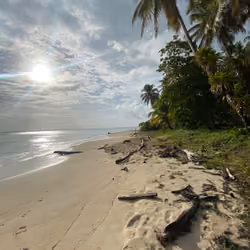 Beach 220515