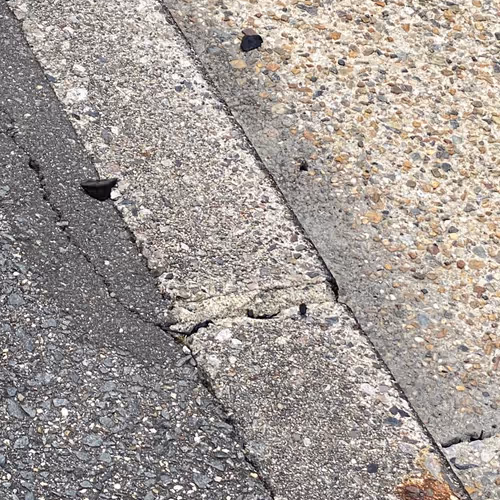 Untitled Collection #54966517